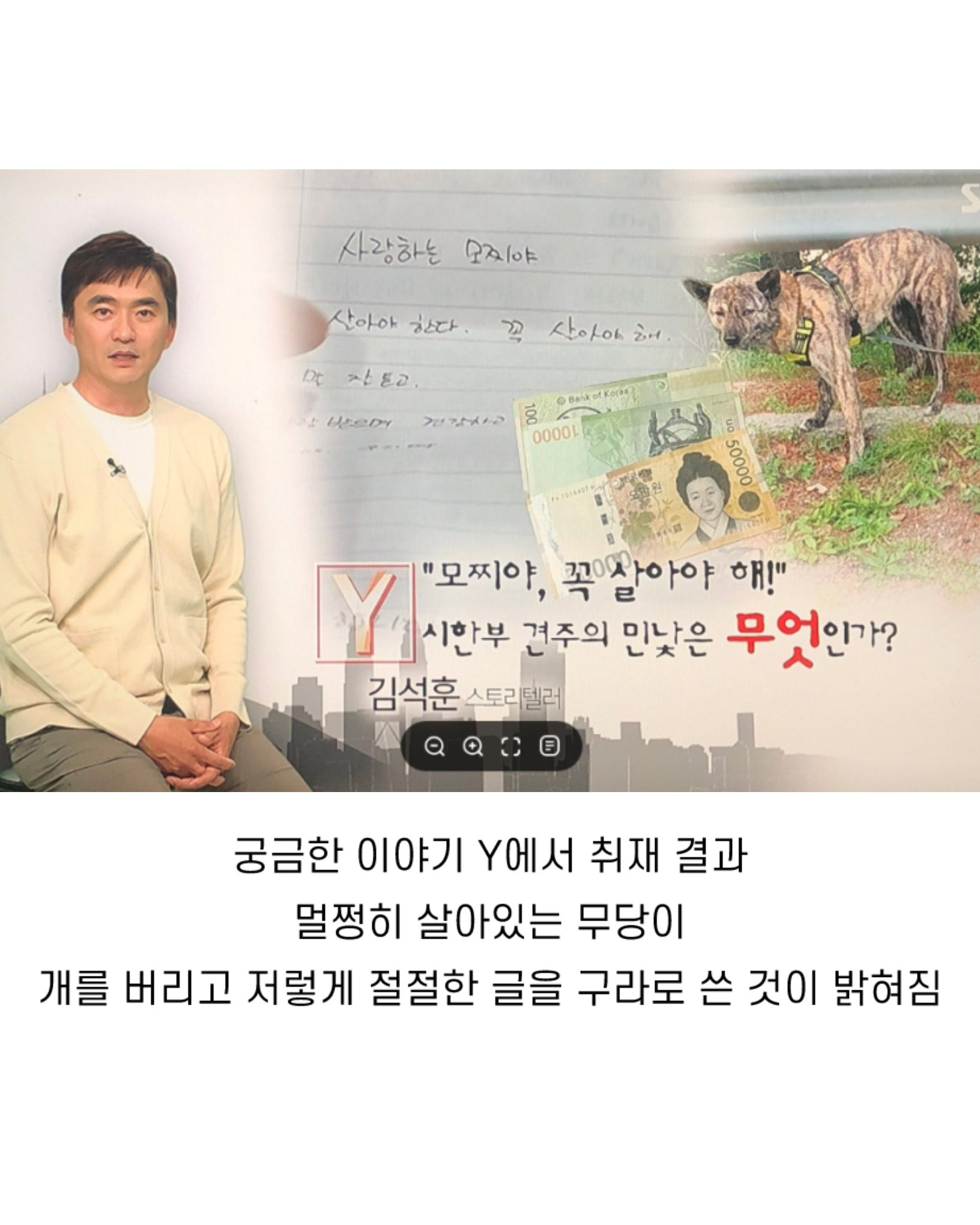 탄천 주차장 버려진 강아지 이야기 | 인스티즈