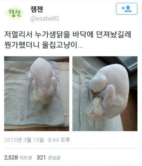 일하기싫어서 모아본 웃긴짤 모음 | 인스티즈