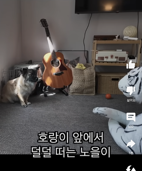 어우 못생긴 노을이 ... 보면볼수록.... ............쫌..... | 인스티즈