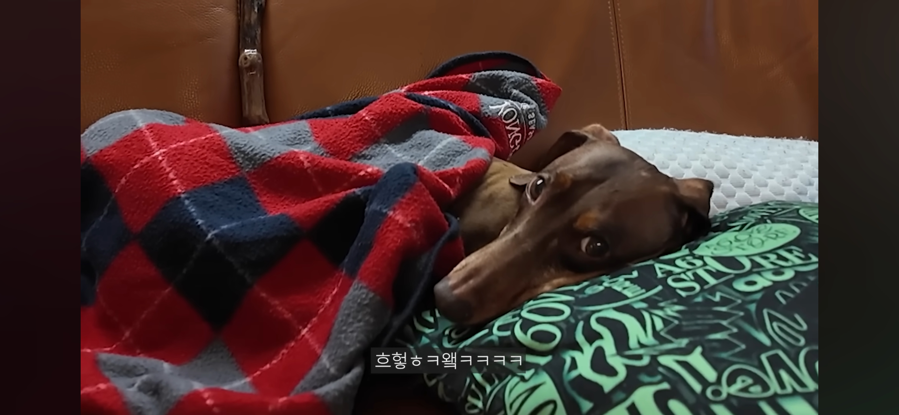 엄마가 촬영 거부하는데 자꾸 엄마한테 말 시키는 엄미새 박재범 | 인스티즈