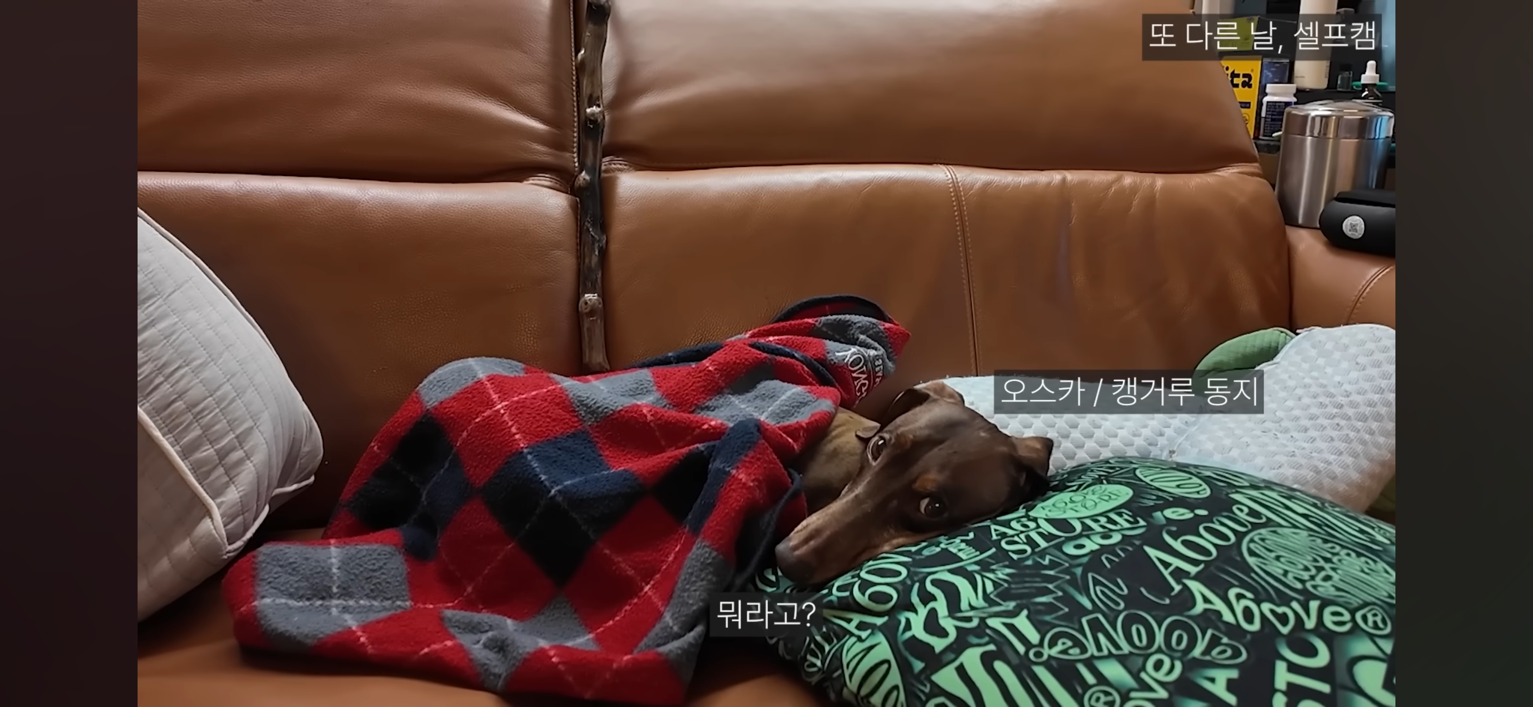 엄마가 촬영 거부하는데 자꾸 엄마한테 말 시키는 엄미새 박재범 | 인스티즈