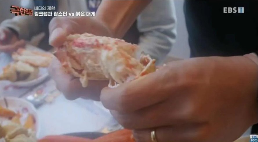 매일 킹크랩과 랍스터 먹는 직업 | 인스티즈