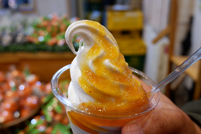 제주도 여행간 사람들이 꼭 먹고 온다는 아이스크림....jpg | 인스티즈