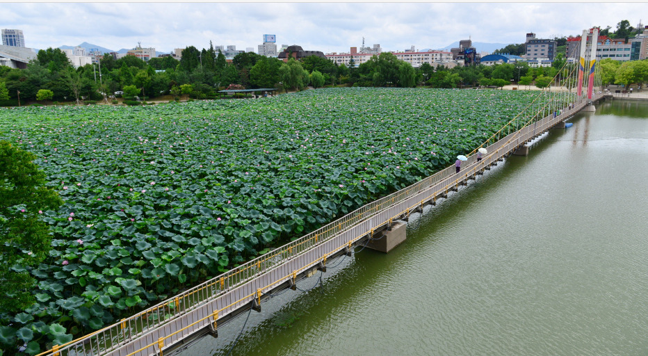 전주사는사람이 말하는 전주여행 | 인스티즈