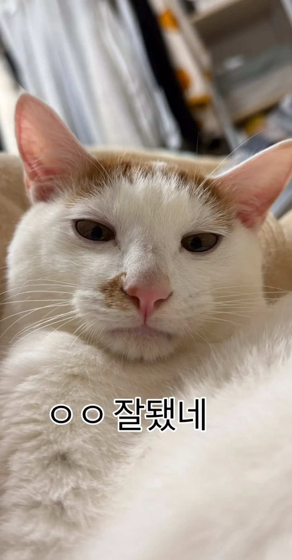 형아! 나 드디어 눈 기증 받게 됐대! | 인스티즈