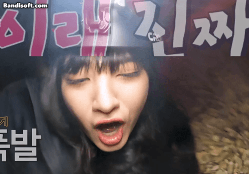 아이브 개쫄보 1,2 리즈 장원영 ㅋㅋㅋ.mp4 (비명주의) | 인스티즈