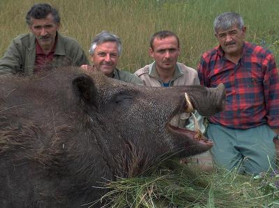 짐승들 실물 보면 놀랄 수 밖에 없는 이유.jpg | 인스티즈