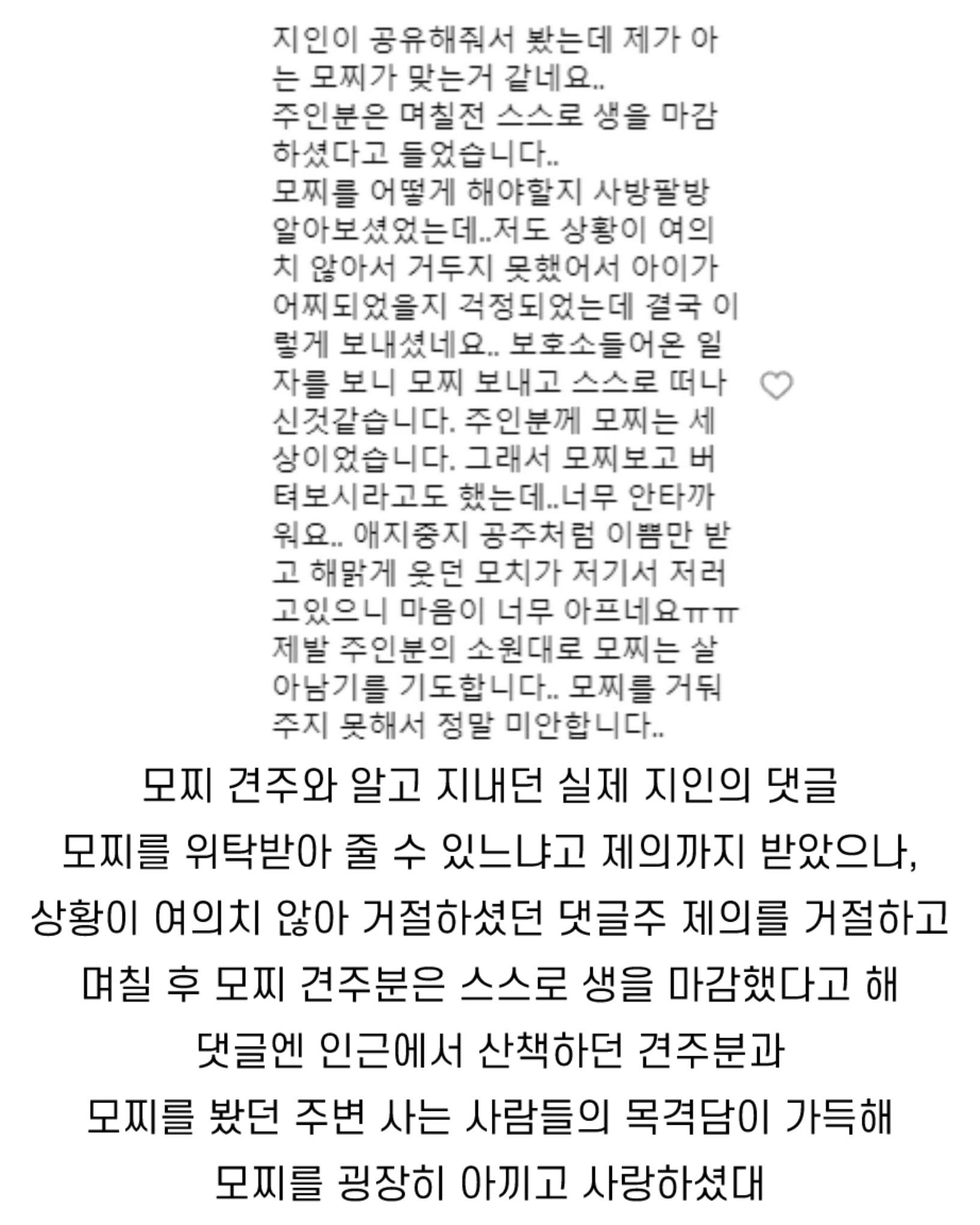 탄천 주차장 버려진 강아지 이야기 | 인스티즈