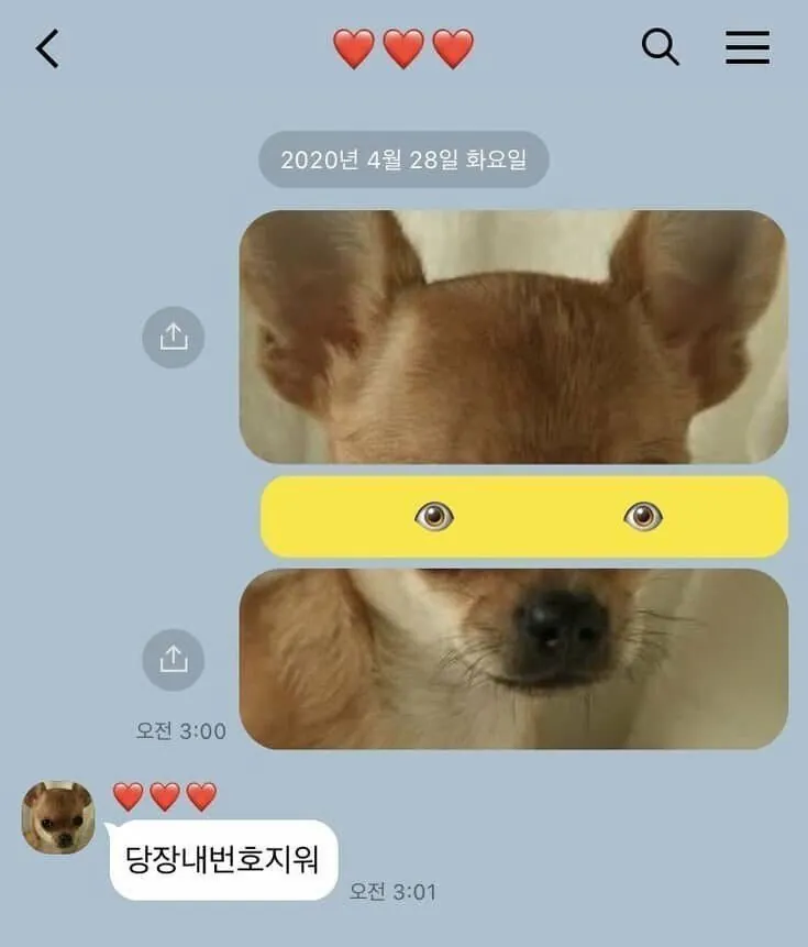 여친에게 보낸 마지막 카톡 | 인스티즈