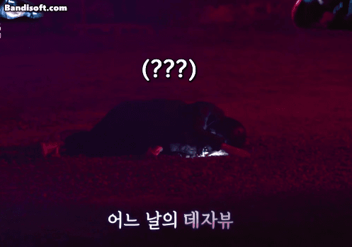 아이브 개쫄보 1,2 리즈 장원영 ㅋㅋㅋ.mp4 (비명주의) | 인스티즈
