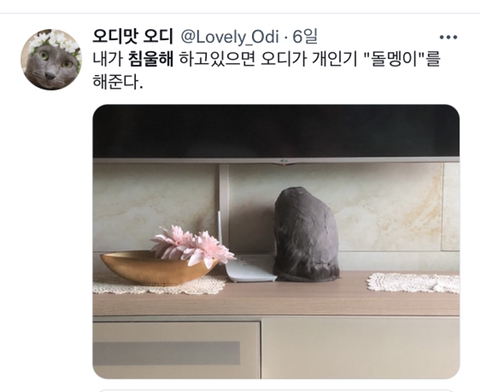 내가 침울해 하고 있으면 -가 -해준다 .twt | 인스티즈