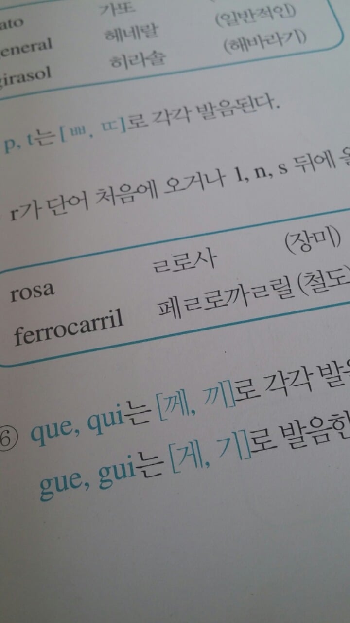스페인어 배우는 사람들이 가장 처음 만나는 난관 | 인스티즈