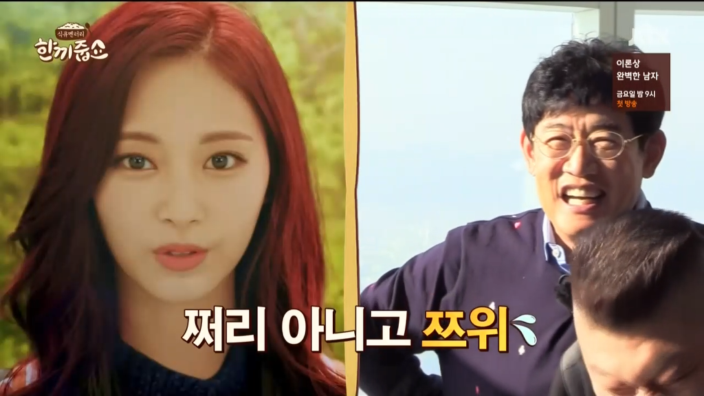 트와이스의 쩌리 | 인스티즈