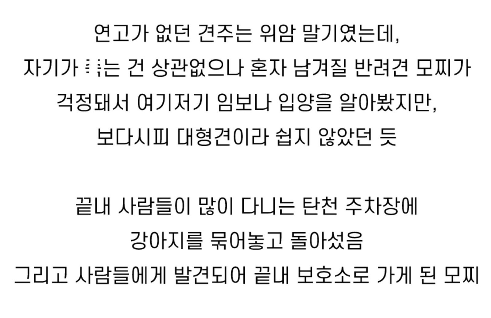 탄천 주차장 버려진 강아지 이야기 | 인스티즈
