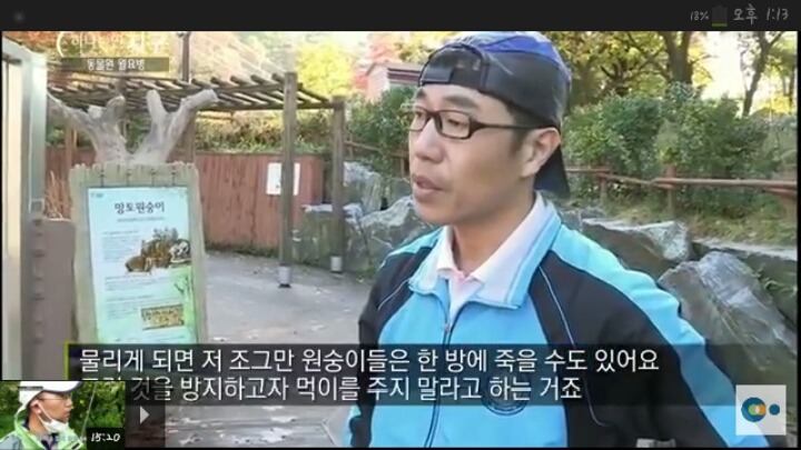 동물원 동물들이 월요병 생기는 이유 | 인스티즈