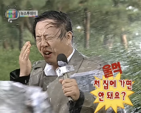 INTP 인간의 짤털 | 인스티즈