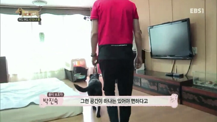 [세나개] 강형욱 훈련사의 팬인 봄이의 보호자들.jpg | 인스티즈