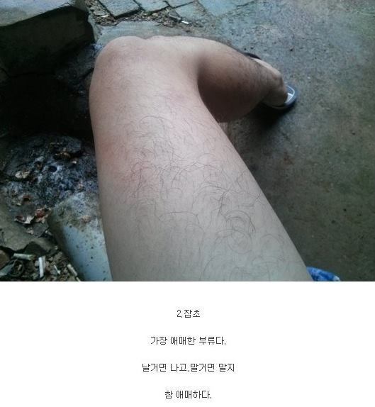남자 다리털 레벨.jpg | 인스티즈