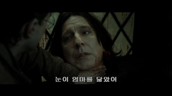 <해리포터>복잡하고도 미묘한 지팡이학 그리고 딱총나무지팡이 | 인스티즈