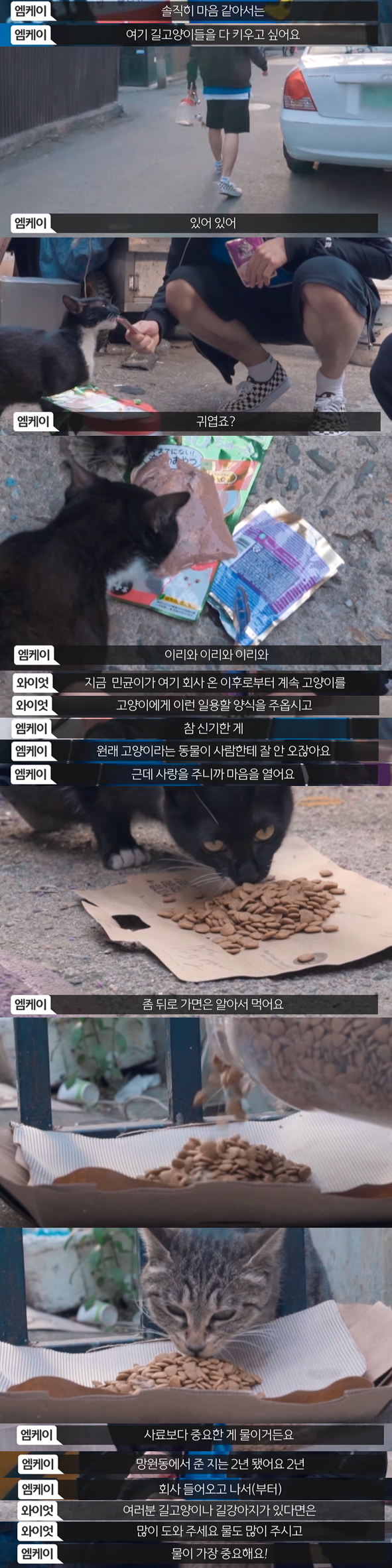 약 5년 전 아깽이들 구조하다 만난 아이돌과 작사가의 인연 | 인스티즈