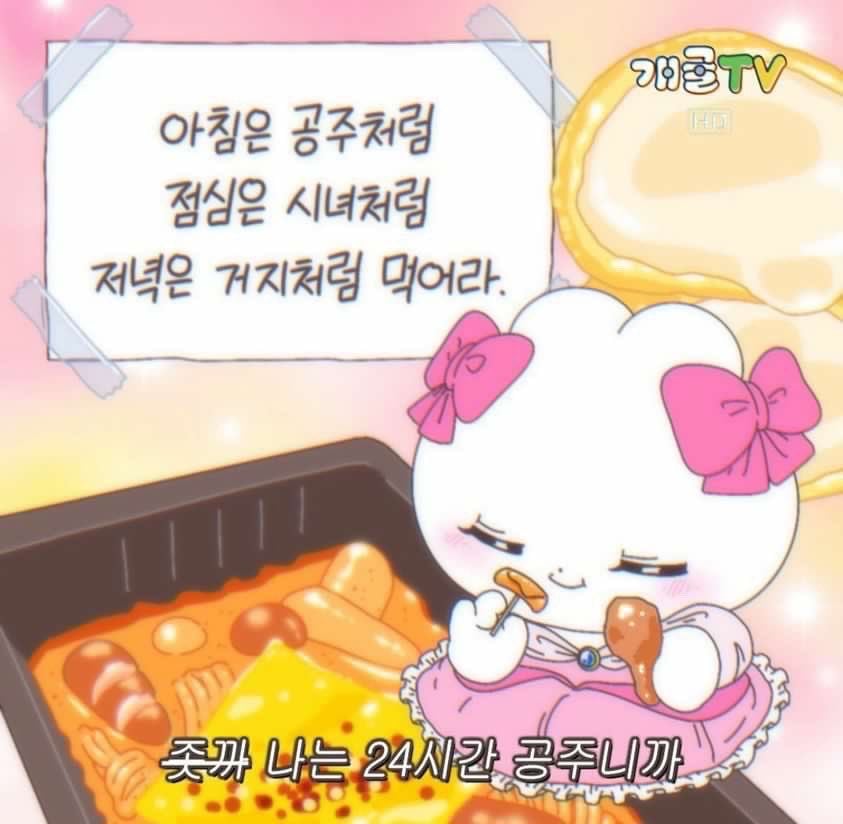 INTP 인간의 짤털 | 인스티즈