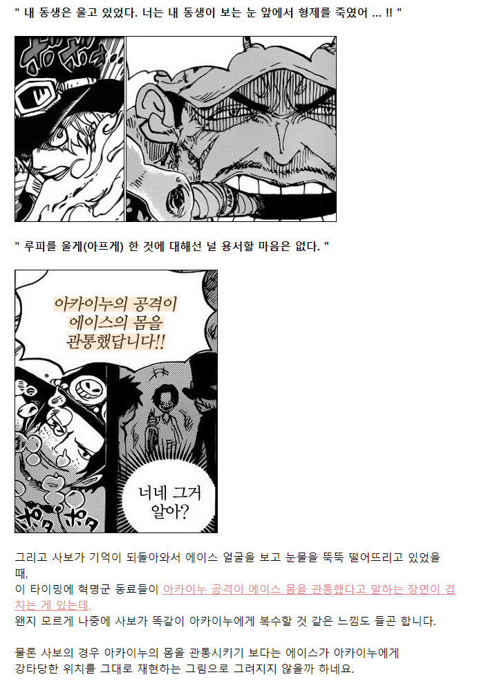 원피스 사보 VS 아카이누 맞대결 암시.JPG | 인스티즈