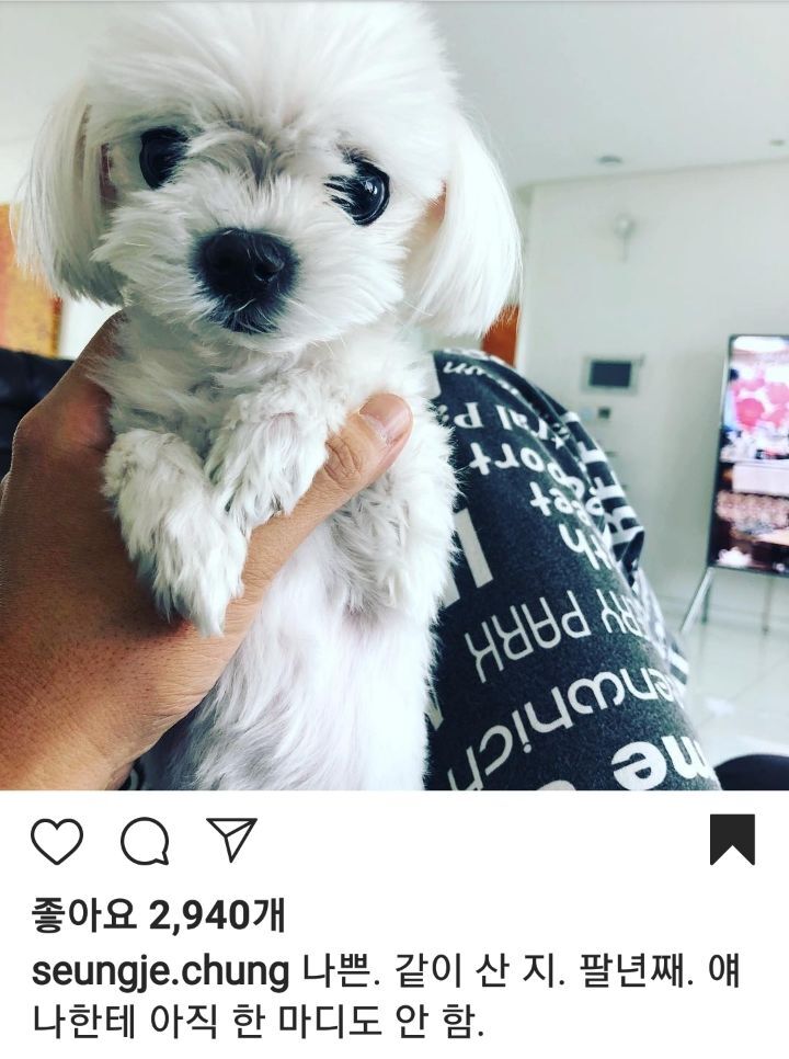 수학 1타강사 정승제 선생님 반려견 코델리아 | 인스티즈