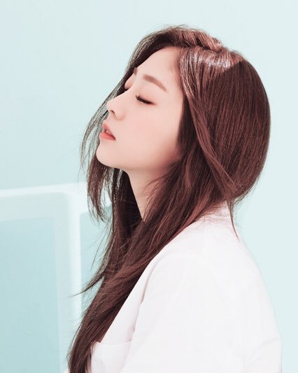 사막여우 닮은 여자아이돌 | 인스티즈