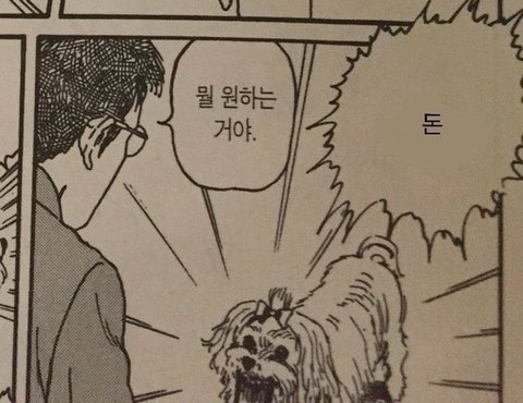 INTP 인간의 짤털 | 인스티즈