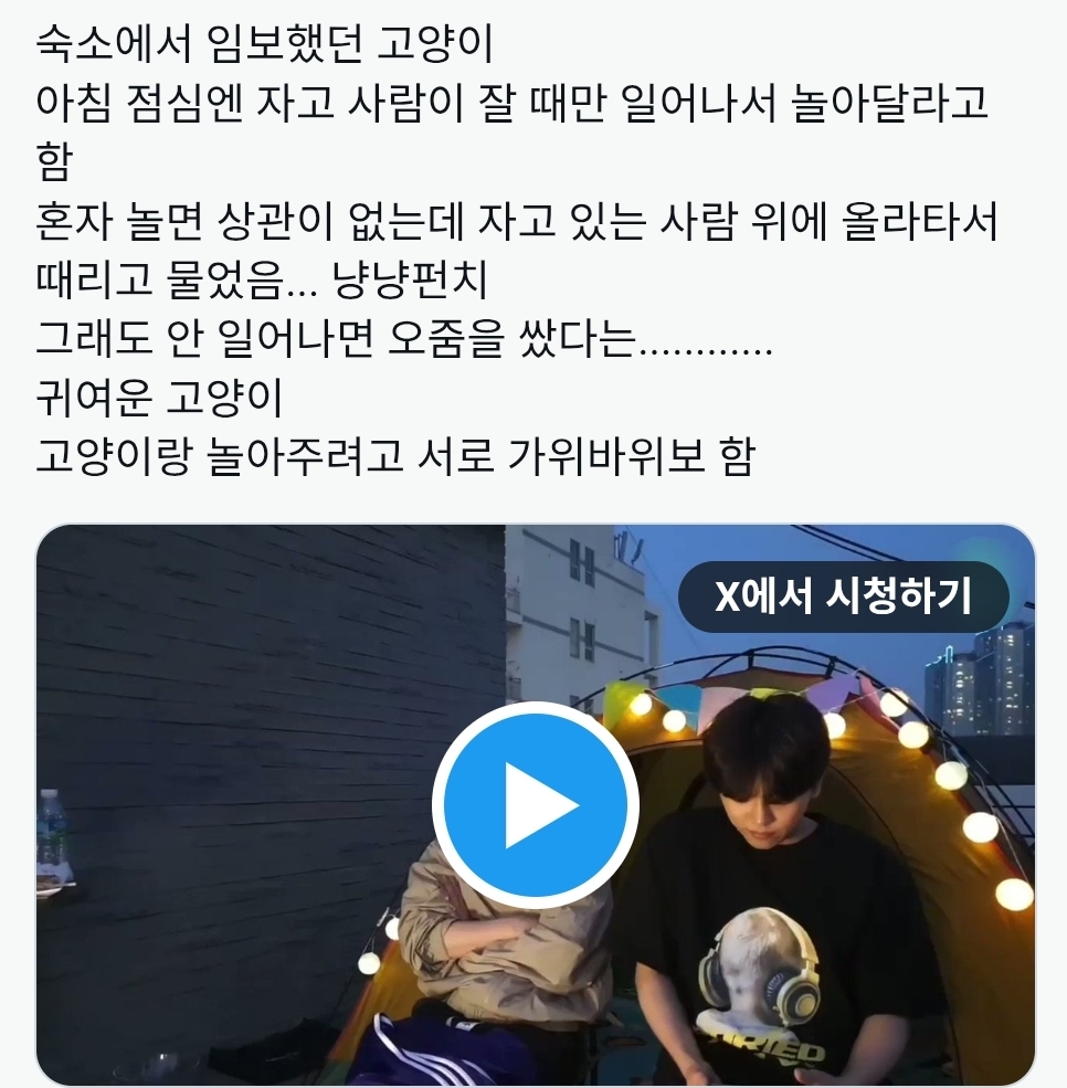 약 5년 전 아깽이들 구조하다 만난 아이돌과 작사가의 인연 | 인스티즈