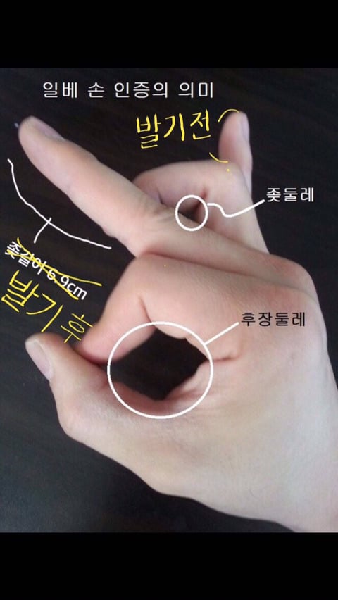 일베 손 인증의 의미.jpg | 인스티즈