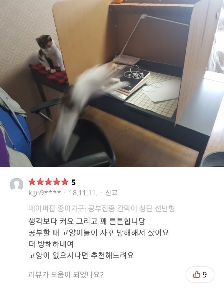 독서실 칸막이 구매 후기 | 인스티즈