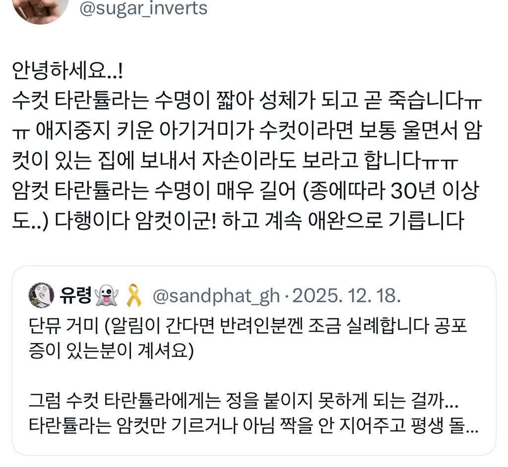 타란튤라를 키우면 자주하게 되는 이상한 말 | 인스티즈