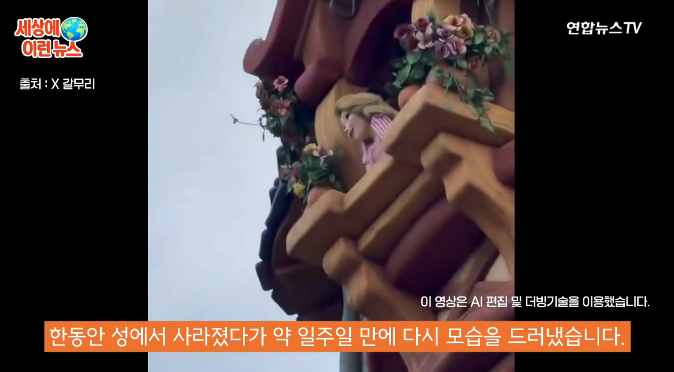 "모발 모발~ 이식 수술하고 왔습니다"…까마귀한테 뜯긴 머리 심고 온 라푼젤 | 인스티즈