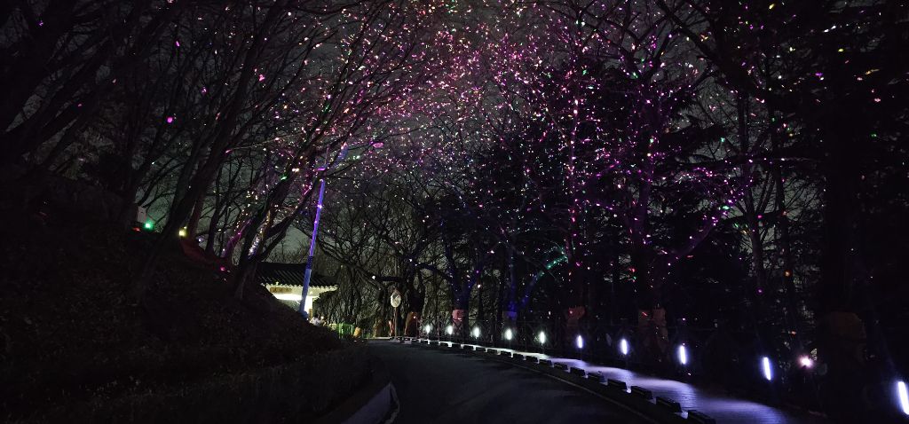 수봉공원 스카이 워크 | 인스티즈