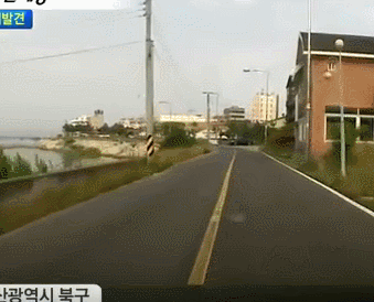 [다소무서움주의] 교통사고 블랙박스 모음.gif | 인스티즈