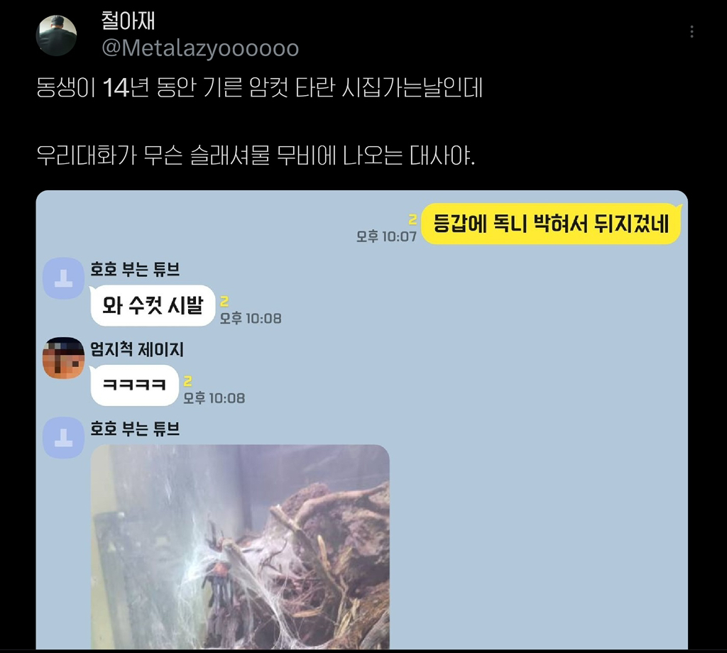 타란튤라를 키우면 자주하게 되는 이상한 말 | 인스티즈
