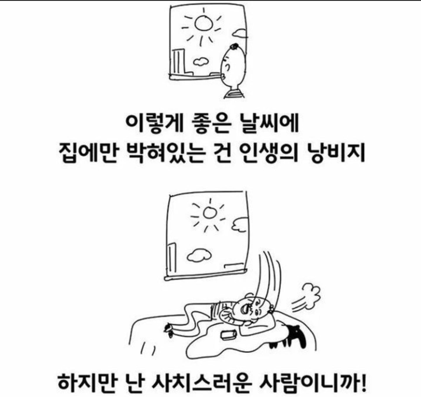 INTP 인간의 짤털 | 인스티즈