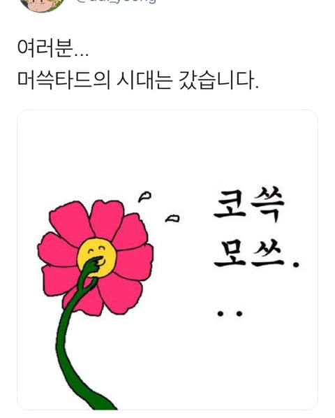 이제 머쓱타드의 시대는 끝났음 | 인스티즈