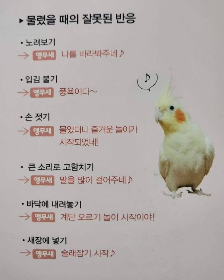INTP 인간의 짤털 | 인스티즈