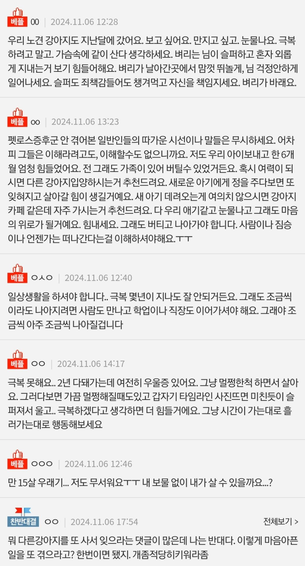 펫로스 어떻게 극복하는거에요...? | 인스티즈