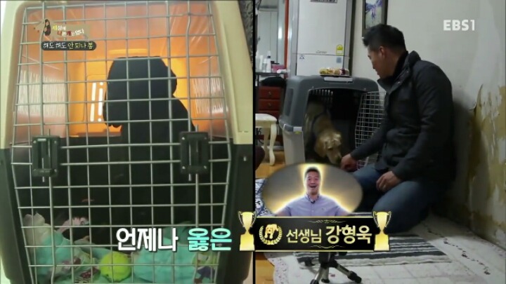 [세나개] 강형욱 훈련사의 팬인 봄이의 보호자들.jpg | 인스티즈