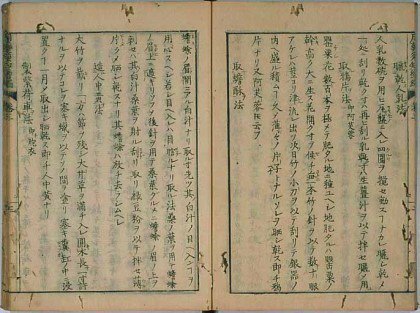 조선을 비웃다가 에도시대 자국의 의학서적을 본 일본인들의 반응.txt | 인스티즈