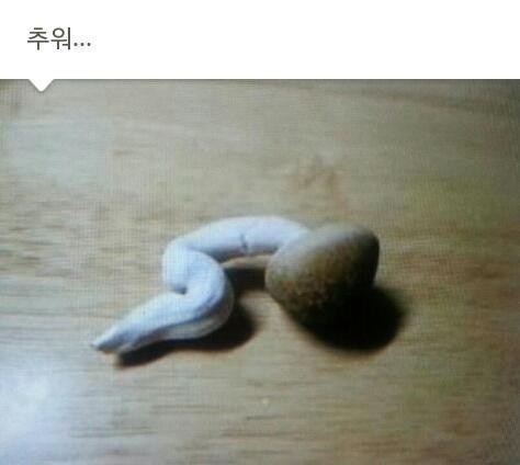 카톡에서 쓰면 재밌는 짤 모음.jpg | 인스티즈