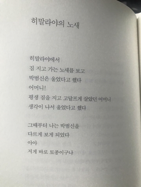 INTP 인간의 짤털 | 인스티즈