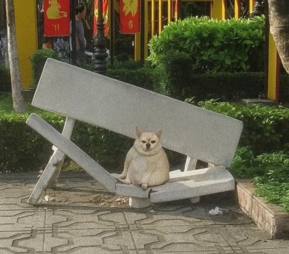 INTP 인간의 짤털 | 인스티즈