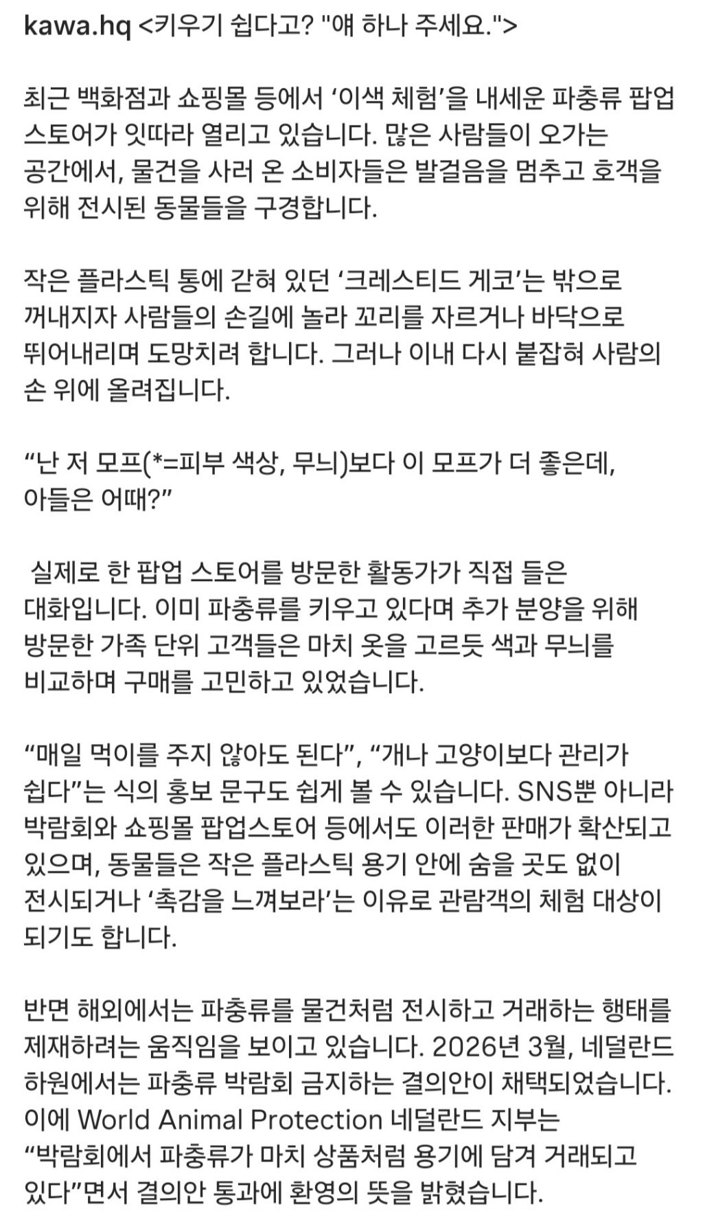 키우기 쉽다고? 얘 하나 주세요./파충류 소비도 하지말자 | 인스티즈