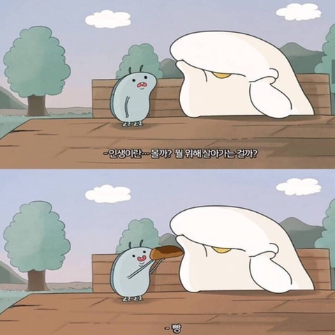 INTP 인간의 짤털 | 인스티즈