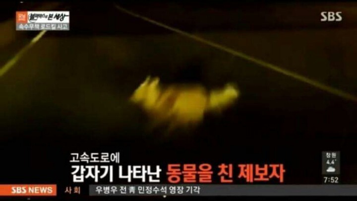 구사일생.jpg | 인스티즈