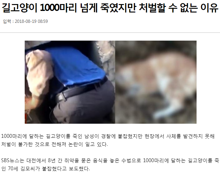 길고양이 1000마리 넘게 죽였지만 처벌할 수 없는 이유 | 인스티즈